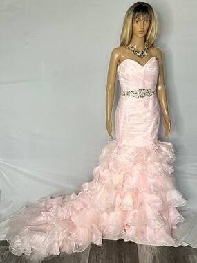 Albizia Blush Pink Mermaid Formal Gown Beaded Corset Ruffle Train